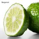 Calvin Klein Ck One Body Lotion 8.5 fl oz