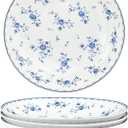 fanquare 8 Inch Porcelain Salad Bowls Set of 4, Round Floral Plates Set for Soup, Pasta, Dessert, Fruit