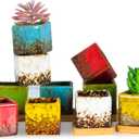 ARTKETTY Set of 10 Succulent Pots with Drainage Trays, 2.1 Inch Ceramic Pots for Indoor Flower Plants, Small Square Cactus Planter Pots Bulk for Garden Home Desk Windowsill Decor