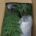 ENVEN 3FT Artificial Norfolk Pine Christmas Tree Real Touch Faux Tree with Black Pot, Realistic Indoor Holiday Decor for Christmas Entryway, Living Room & Office