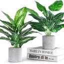 Der Rose JC nateva 2pcs 16" Fake Plants Artificial Plants Tropical Faux Plants Indoor for Bathroom Kitchen Office Home Sage Green Decor