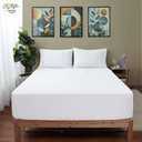 Standard Bed Sheet Size Twin, White