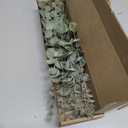 Tiyard 18pcs Eucalyptus Stems Artificial Eucalyptus Leaves Stems Artificial Fake Flowers for Home Office Flowers Bouquet Centerpiece Wedding Decoration Christmas Decor 2025