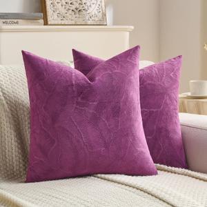 FUTEI Pack of 2 Velvet Throw Pillow Covers 22x22 Inch, Purple
