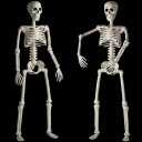 HBSTK 2 Pack 36 Inches Halloween Skeleton Full Body Posable Movable Jonints for Halloween Decoration Dcor, 2 Pack 40Inch Skeleton (Beige)