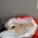 8FT Inflatable Santa Claus Outdoor Christmas Decoration - Blow Up Santa Claus with Built-in LED Lights for Garden Lawn (red, green, white)