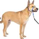 PetSafe Gentle Leader Headcollar No-Pull Dog Collar - Helps Improve Walks - Durable Nylon Construction - Padded Nose Loop - Adjustable Fit - Comfort Walking Halter - Medium, Royal Blue