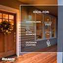 Bulbrite Incandescent B10 Medium Screw Base (E26) Light Bulb, 40 Watt, Clear ,1 Count(Pack of 1)