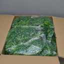 Geosar 64 Pcs Artificial Hanging Plants 32 Inch Hanging Boston Ferns Plastic Fake Plants for Wall Room Garden Wedding Garland Indoor Outdoor Decoration, No Basket