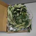 Giegxin 3 Pcs Total 15 ft Artificial Olive Leaf Vine Artificial Garland Hanging Green Vine with Fake Fruits Greenery Olive Leaves Decor for Wedding Backdrop Home Office Garden Wall Door