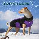 Kuoser Dog Jackets for Small Dogs, Warm Dog Coat with Harness Built in, Puppy Winter Jacket Pet Clothes for Cold Weather, Reflective Waterproof Doggie Winter Vest for Pug Dachshund, Purple S (S (Chest Girth: 12.6-16.5''))