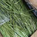 6 Pack 4 ft Tall Artificial Grass Plant Fake Pampas Grass in Pot Large Faux Floor Plants Potted Artificial Greenery for Indoor Outdoor Garden Home Bathroom Office Room Housewarming Wedding Decoration