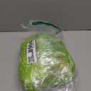 COMIN Inflatable Dinosaur Costume Kids, Ride on Parasaurolophus Blow Up Dino Costume Green Funny Fancy Dress for Halloween