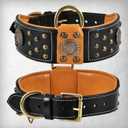 Genuine Leather Cupola Series Dog Collar | Celtic Conchos & Gold Dome Rivets | Soft, Cushion Padding, Handmade | Best for Medium, Large, XL Breeds (XL (Neck Size 22.5"-25.5"), Sable Black)