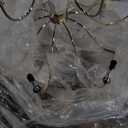 Kalco Lighting Kalco 304852CG Transitional 15 Light Chandelier from Carrara Collection in Gold, Champ, Gld Leaf Finish, Multicolor