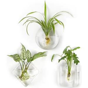 Mkono Wall Planter Propagation Stations Hanging Glass Terrariums Vase Container for Propagating Hydroponic Plants Flowers Home Office Living Room Bathroom Garden Decor, 3 Pack(Plants not Included)