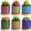 T4U 2.5 Inch Small Ceramic Succulent Planter Pot with Bamboo Saucer Set of 6, Ice Crack Glaze Porcelain Handicraft Plant Container Gift for Mom Sister Aunt Best for Home Office Desk Decoration