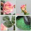 momoplant Artificial Rose Plant 25 Inch Tall Fake Silk Rose Flower Set of 2 Faux Trees with Potted for Living Room Table Kitchen Office Decor (Pink)