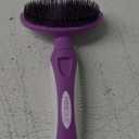 Round Bristle Pet Brush for Dogs and Cats - Soft Dog Brush for Grooming Short or Long Hair - Gentle Tool for Sensitive Skin Removes Dander, Dirt, and Detangles (Purple)