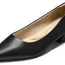 DREAM PAIRS Women's Chunky Heels Closed Toe Low Block Work Shoes Pointed Toe Dress Comfortable Wedding Pumps, Size 10