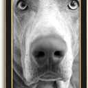 Suede 12x24 Frame - Single Frame, Christmas Elegant Black 12 x 24 Poster Frame, 12x24 Picture Frame for Artwork Puzzles Photos and Movie Posters