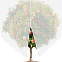 Large Fruit Tree Netting, Cookmaster 10x10Ft Insect Bird Barrier Netting with Drawstring and Zipper, Garden Netting Covers for Plant Protection from Anti Birds, Bugs,Cicadas