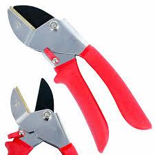 Professional Anvil Pruner, Best for Dry, Dead Stems & Branches, Plastic, Rubber