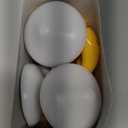 Mudder 8 Pack Mushroom Night Light Plug in 7 Color Changing LED Mushroom Nightlight Lamp Cute Light Sensor Wall Lamps for Adults Gifts