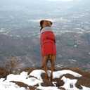 Lelepet Warm Dog Coat - Reflective Waterproof Fleece Vest with Adjustable Buckle Hook & Loop, Windproof Winter Jacket Dog Coats for Large Dogs, Red, L