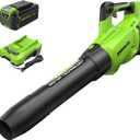 Greenworks 40V (130 MPH / 550 CFM ) Brushless Axial Leaf Blower, Ultra-Powerful for Wet Leaves, Heavy Debris, Gravel and Driveway Snow, Includes 4.0Ah Battery and Charger