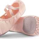 Dance Women's Ballet Shoes Stretch Canvas Dance Slippers Split Sole for Girls/Adult (8, Pink)
