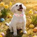 Easter Day Dog Collar, UP URARA PUP Easter Eggs Adjustable Pet Collar with Bowknot Charm, Colorful Eggs Dog Collars for Small Medium Large Dogs (XS)