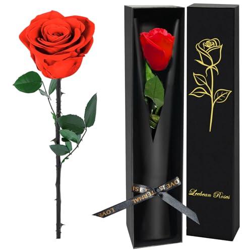 Single Forever Roses Luxury Gift for Women/Men, Fresh Flowers Bouquet for Girlfriend, Wife, Mom, Anniversary, Valentine's Day, Wedding, Graduation, Christmas, Birthday, Unique Presents for Her, Red
