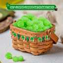 3 x 4E's Novelty St. Patrick's Day Shamrock Candy Bulk 2LB - 170 Pcs, Refreshing Artificial Peppermint Flavored Green Shamrock Jelly, St Patty's Day Gummies, Pot of Gold Filler, Party Favors Snacks, Saint Patricks Day Treats (EXP 04/06/27)
