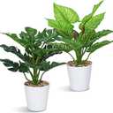 2 PCS Fake Potted Plant 12" Small Artificial Plants Indoor, Faux Greenery Monstera Dieffenbachia Plant in Pot, Artificial Tropical Plants for Home Office Table Shelf Window Centerpieces Decor