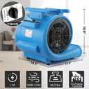 blessny 1 HP ETL Listed Carpet Dryer Air Blower Fan for Home Drying, Extra Large
