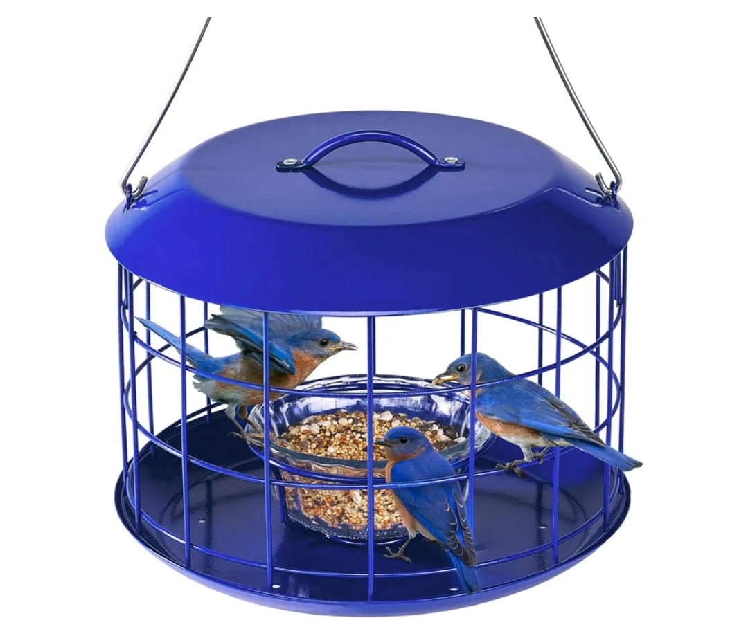 Kingsyard Bluebird Feeders for Outdoors Hanging, All Metal, Cage Mealworm Bird Feeder with Tray, Squirrel Proof & Weatherproof, Easy to Refill & Clean (Blue)