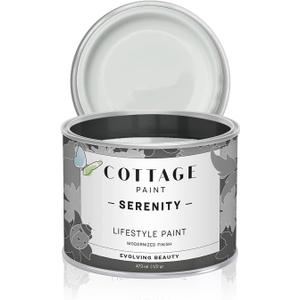 Serenity Silk All-in-One Mineral Chalk Paint for Furniture, Home Decor, Cabinets and DIY Crafts - Built-in Topcoat - (16oz, Shoreline)