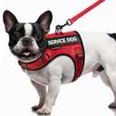 FAYOGOO Service Dog Vest for Small Dogs - Air Mesh Breathble Emotional Support Animal Vest with DIY Patches - Puppy Harness and Leash Set Adjustable Neck and Chest