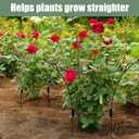 VICAMB 2 Pack Large Peony Cages and Supports,23.2" H X 13.4" D Metal Peony Support Rings,Tall Plant Support Garden Stakes for Outdoor Plants and Other Flopping Flowers