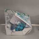 The Plug Liver Cleanse Detox & Repair Drink Electrolytes Organic Herbal Liquid Detoxify Body Plants Supplement Support Weight Loss Natural Health Hydrate Sports Energy Immunity Shots Minerals Vitamins (3.4 Fl Oz (Pack of 12)), BB 09/17/2027