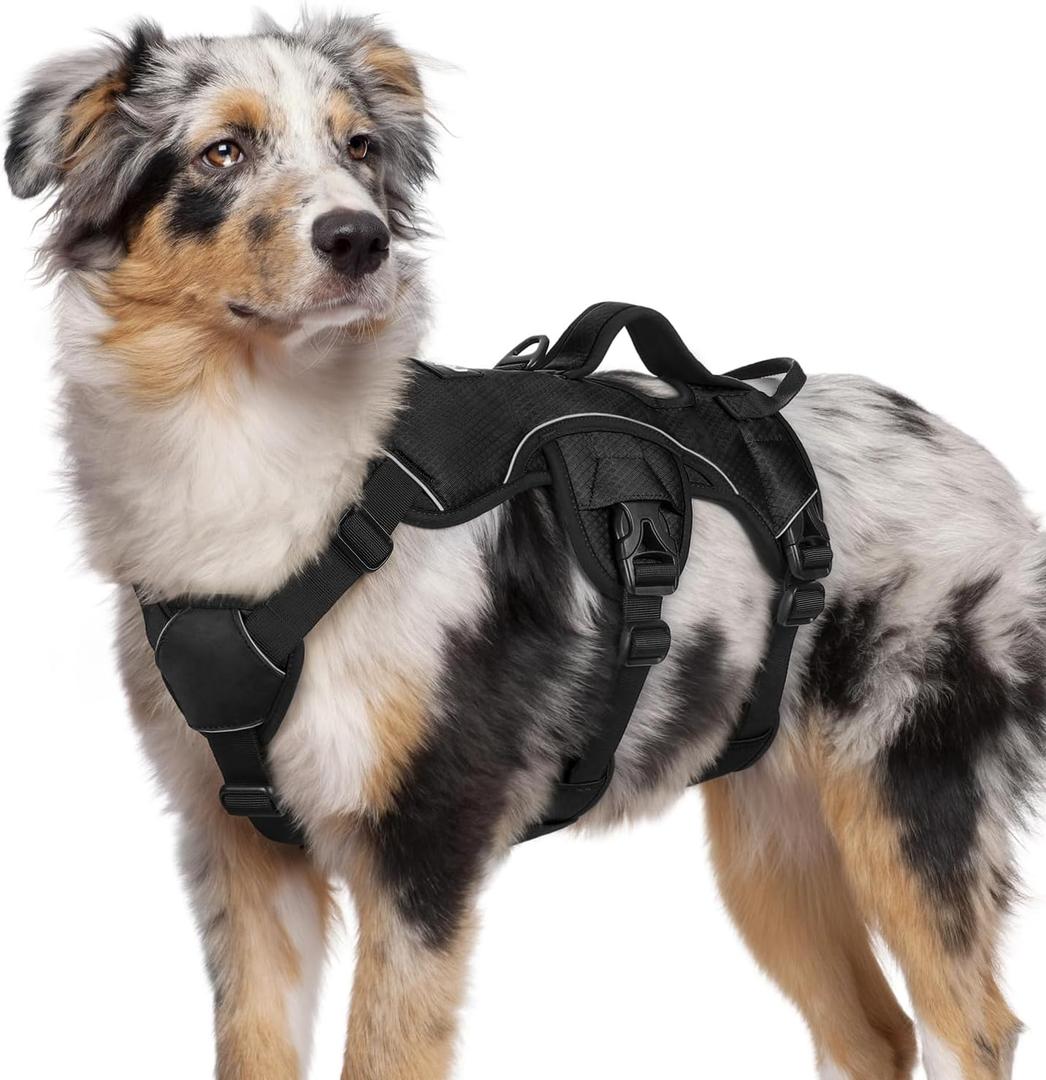 rabbitgoo Escape Proof Dog Harness, Soft Padded Full Body Pet Harness, Reflective Adjustable No Pull Vest with Lift Handle and Leash Clip for Large Dogs Walking Hiking Training, M, Black (Medium (Pack of 1))