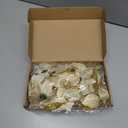 Boao 24 Pieces Christmas Artificial Glitter Poinsettia Flowers Xmas Flowers Wedding Christmas Tree New Year Ornaments(Gold)