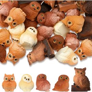 Wesiti 40 Pcs Resin Mini Owl Figurines Owl Miniature Figurines Bulk Mini Resin Statues for Summer Miniature Garden Accessories Micro Landscape Plant Pots Bonsai Fairy Decorations(Cute Style)
