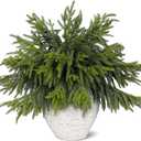 Juxdp 20 Pcs Real Touch Norfolk Pine Branches, Artificial Christmas Green Plants Branch Faux Greenery Stem Fake Pine Picks for Vase DIY Crafts Garland Wreath Xmas Indoor Outdoor Decor(18 Inches)