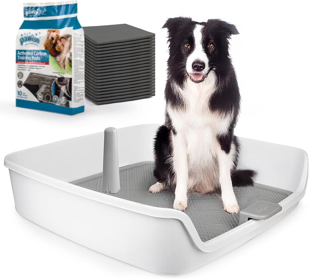 ALL FOR PAWS Dog Potty Tray Indoor Dog Pee Pad Holder Toilet Puppy Litter Box with Removable Post, Raised Sides, Large Space, Shed Proof & Mess Free, Easy Clean-up, Great for Large Size Dogs
