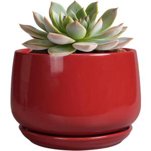 G EPGardening Ceramic Pot for Plants - 6 Inch Plant Pot with Drainage and Ceramic Tray, Modern Living Room Decor, Planter for Housewarming Gifts New Home, Red