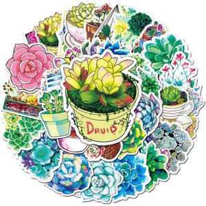 Succulent Plants Waterproof Stickers for Boys Girls Teens Kids, Popular Unique Vinyl Stickers for Laptop Flasks Luggage Water Bottle Cup Phone Tablet Notebook, Aesthetic Decals Pack[Succulent-50Pcs]