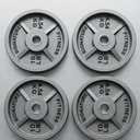Fitvids standard Cast Iron 1-inch Weight Plate for Strength Training & Weightlifting, 10LB Set of 4