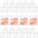 LEIFIDE 50pcs Clear Plastic Gift Bags with Handles PVC Reusable Transparent Totes Bags for Goodie Candy School Birthday Party(5.9 x 6.3 x 2.8 Inch)